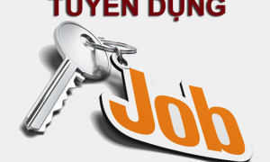 Tuyển dụng thực tập sinh SEO Quận 8 lương cao