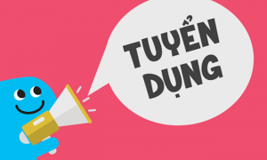Tuyển dụng thực tập sinh SEO Quận 7 lương cao